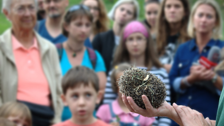 Zástupci města vypouštěli ježky zpět do volné přírody.