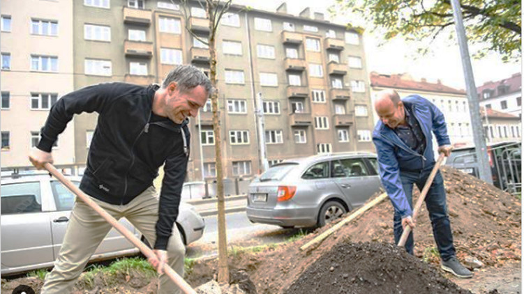 Vedení Prahy zve veřejnost na společné sázení stromů. Akce „Zastromuj Prahu“ se koná již tuto sobotu ve Stromovce
