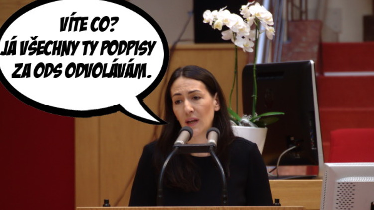 Krnáčová s Udženijí zablokovaly Zastupitelstvo nelegálně, potvrzuje dokument.