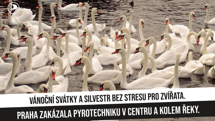 Nová vyhláška zakáže na Silvestra pyrotechniku u vody i v přírodním parku